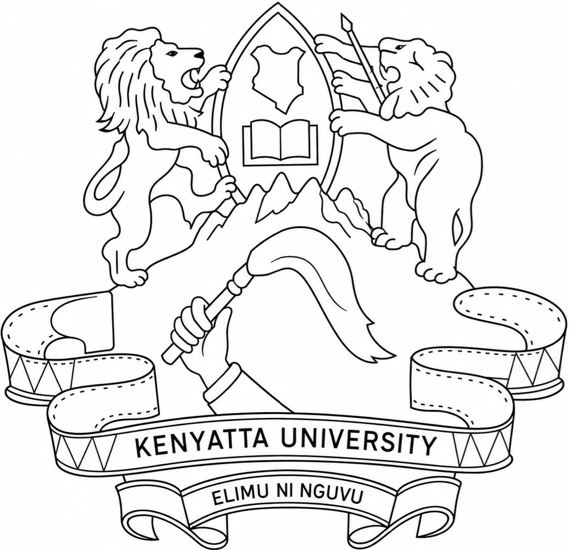 University 5
